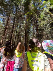 Kinder des KinderHaus Medienfabrik erleben den Wald mit allen Sinnen